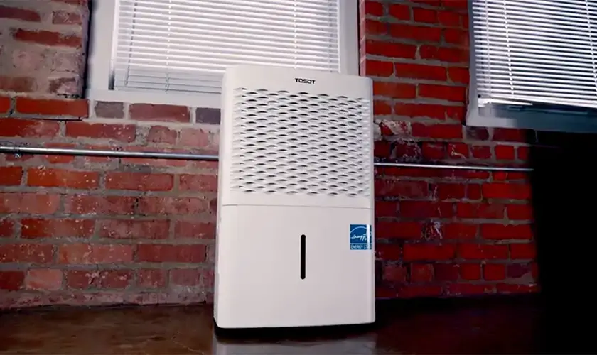 Best Dehumidifier with Pump Picks for 2023 1 带泵的除湿机